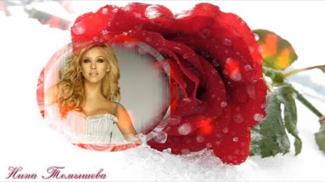 Афина  -  Роза чайная.