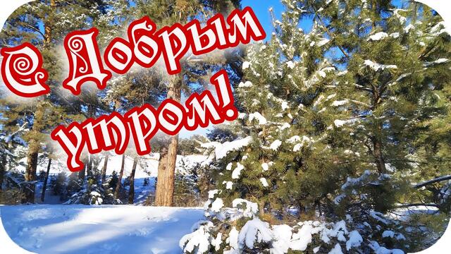 С Добрым утром! ❤️С радостным днем!❤️ Желаю позитивных эмоций! ❤️