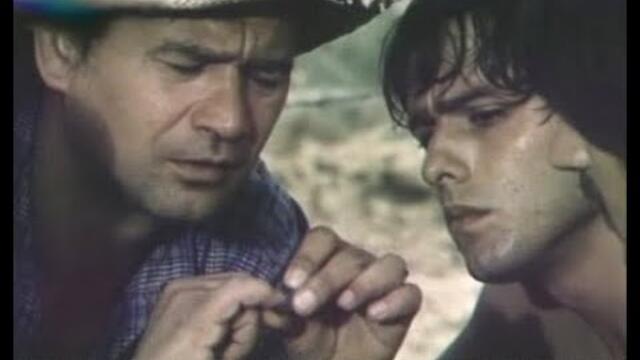 Кратко слънце (1979)