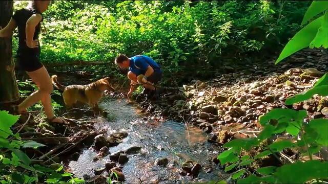 Татьяна Козловская - Родник