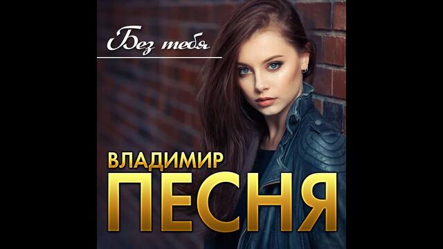 Владимир Песня - Без тебя