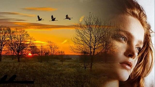 В.ТРЕТЬЯКОВ   -   "ЭТУ ПТИЦУ Я НЕ ЛОВИЛ"/  РОМАНС