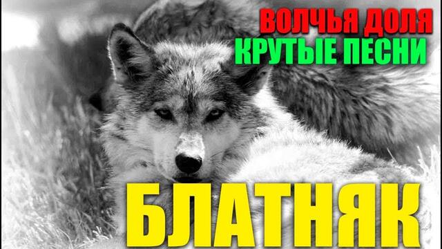 Крутые песни шансона 2021 - все  самое лучшее !!!