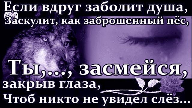 Вячеслав Сидоренко и Анна Басаргина