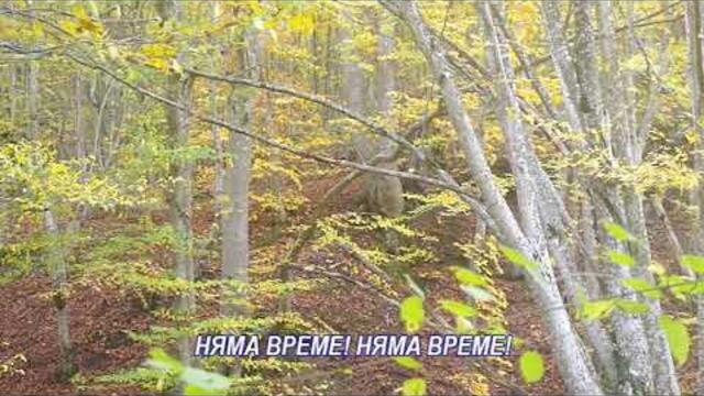 Няма време