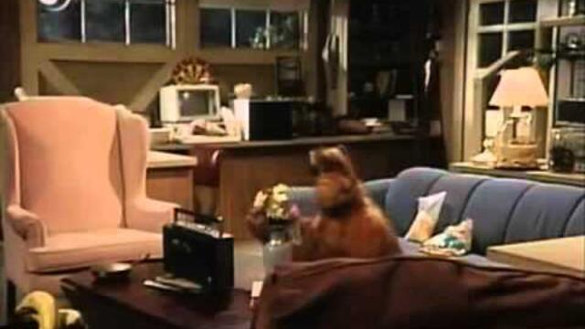 Alf: Singing Stop in the name of Love