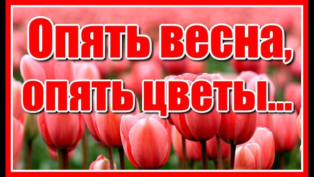 C.Грищук    -     Опять весна, опять цветы / красивое видео и нежная мелодия