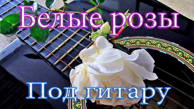 Вячеслав СИДОРЕНКО 💕 Белые розы под гитару 💕