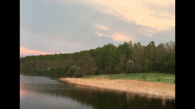 Послушайте Очаровательную МУЗЫКУ Э. Туниянца, Любуясь Красотой ПРИРОДЫ в Нахимовском!
