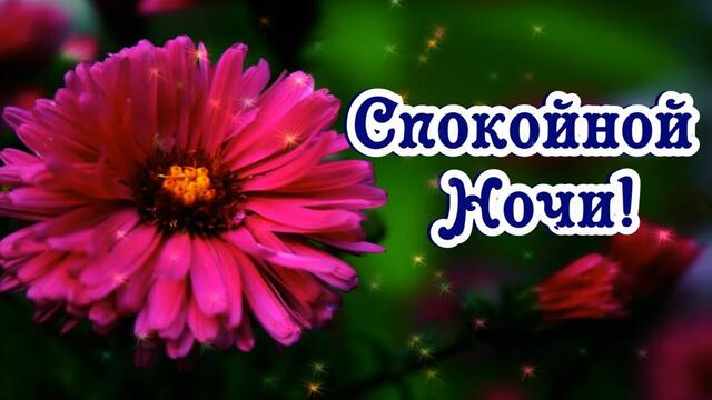 СПОКОЙНОЙ НОЧИ, САМЫХ СВЕТЛЫХ СНОВ!