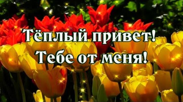 Доброе утро! Удачного дня! Тёплый Привет!  Тебе от меня!💖😘🌺🌺🌺