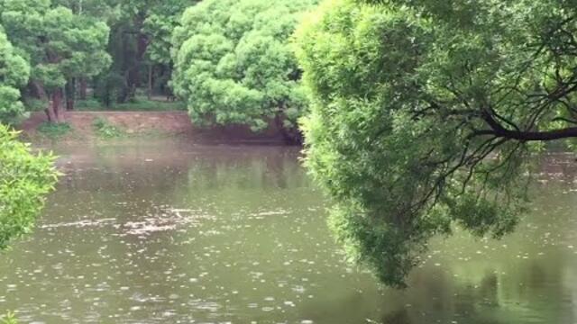 Для Вас Завораживающе Красивая МУЗЫКА С. Аверьянова и ПРИРОДА Осенью на Нарышкинском Пруду!