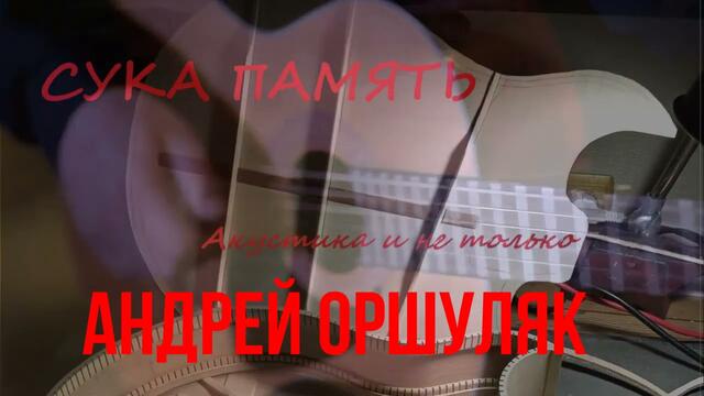 Андрей Оршуляк - Сука память