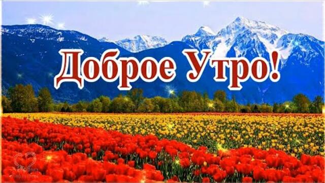 Доброго  Апрельского утра! Весеннего настроения! Пусть Апрель принесёт много радости и счастья!😊💌