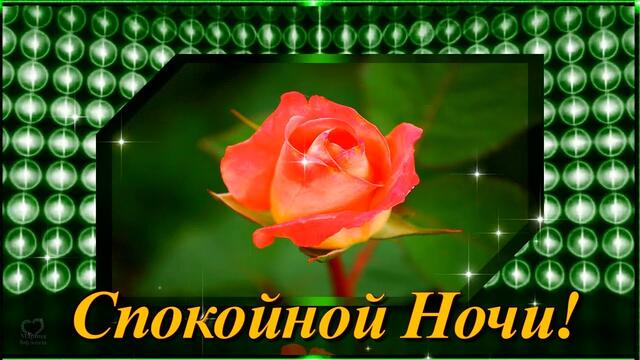 Спокойной ночи! Приятного отдыха.