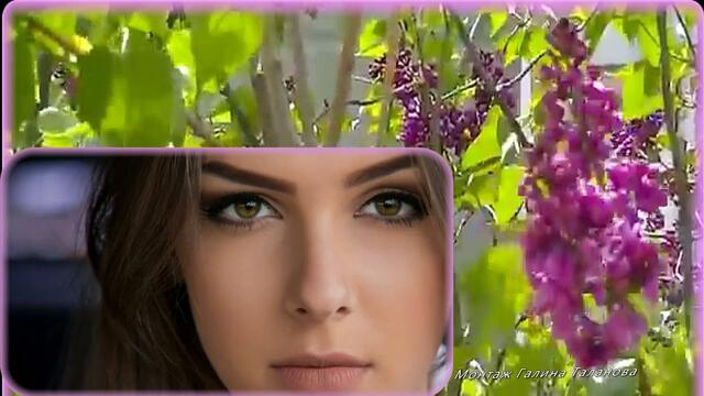 Сергей Одинцов   -   ЦВЕТЕТ СИРЕНЬ....