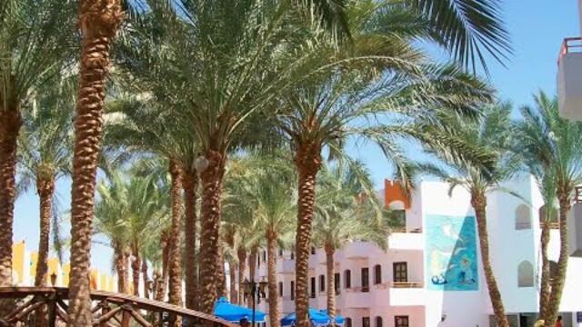 Послушайте Прекрасную Музыку, Любуясь Зоной Отдыха в Египте в  Шарм-эль-Шейхе!