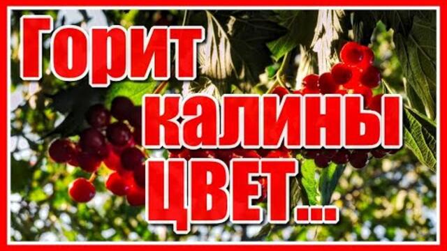 Андрей Кейс   -  "Горит калины цвет...