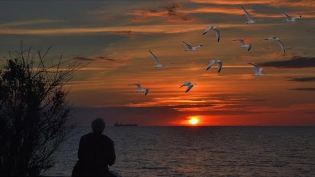 Владимир Загороднюк  -  ГОДА МОИ