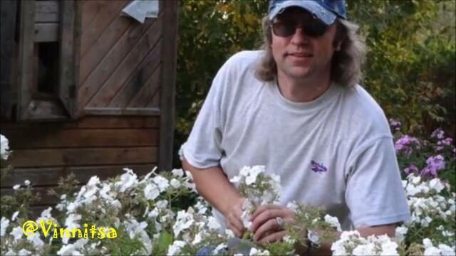 Праздничный Концерт 🌿 ВСЁ ЦВЕТЁТ и ПАХНЕТ🌿 Песни о Любви