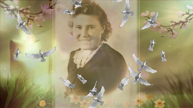 Улетают наши мамы. Фотозаменяемый проект Proshow Producer.