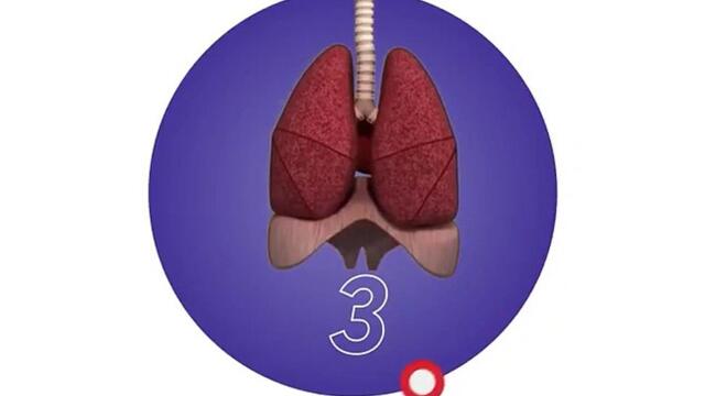 Lung Test: உங்கள் நுரையீரல் எப்படியிருக்கு?.. இப்பவே சோதனை செய்யலாமா?