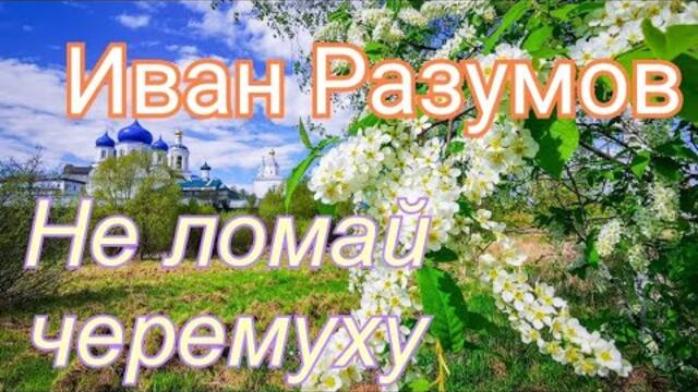 Иван Разумов - Не ломай черемуху