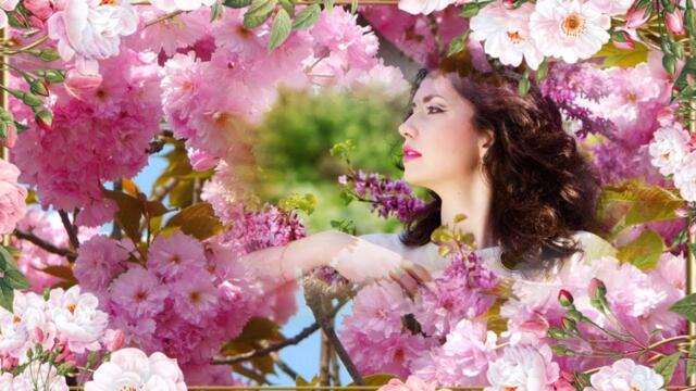 Когда Cакура цветёт