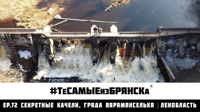 ЭПИЗОД 72. Секретные качели, болото Ламмин Суо, Гряда Вярямянселькя | Ленобласть