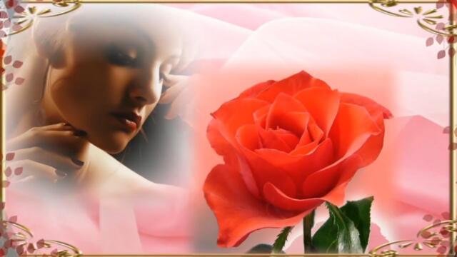 Сегодня отмечается Всемирный день розы Today is World Rose Day