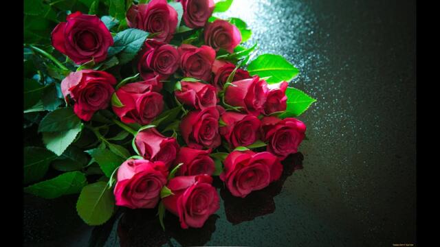 StudioКатерина   -   ДЛЯ ТЕБЯ!