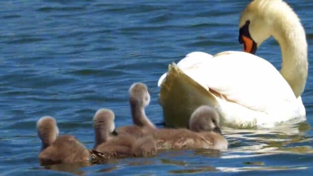 Мир, в котором ты живешь