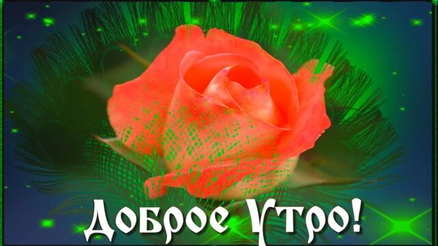 🌹Доброго чудесного Воскресного утра!🌹 Лёгкого дня и прекрасного настроения! 💖🌹🌹🌹