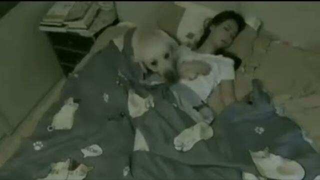 We Don't Deserve Dogs