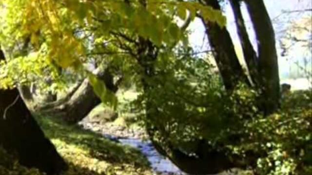 Хубава си моя горо - Бойчо  Иванов / Boycho Ivanov