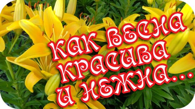 Весна - природы возрождение... ❤️ Прекрасное ее творение...❤️Пусть весна принесет вам удачу!❤️