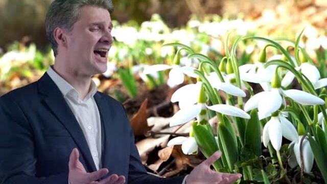 Олег Гончаров - Подснежник