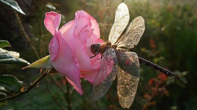 Александр Суханов   -   Зачем и о чем говорить.