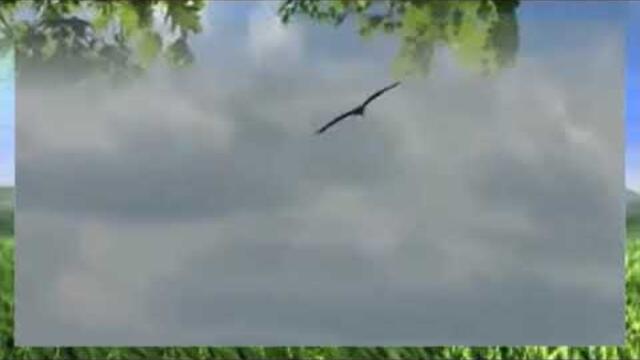 Сергей Чекалин   -   "РЕКА"