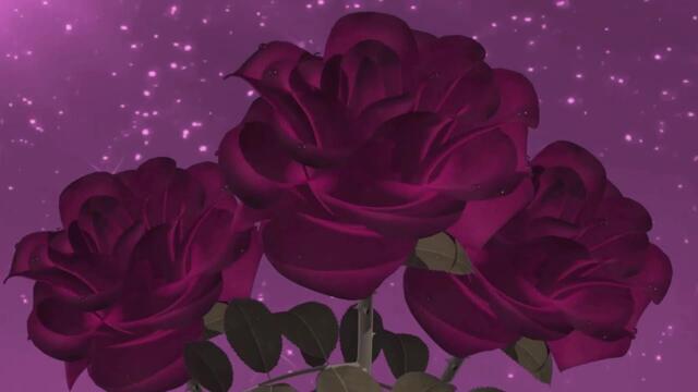 С Днем рождения, подружка!/ Selena Gomez & The Scene - Love You Like A Love