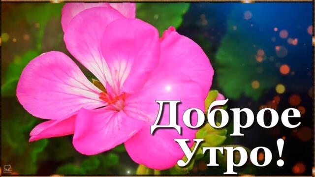Доброе утро! Замечательного настроения на весь день! Добра вам с утра и до вечера!
