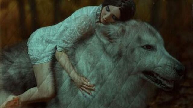 ♛ Тя е вълк ~ A Thousand Years S ღ 1 ♛ Обичам те от хиляди години ♛ ~🦋 ПРЕВОД