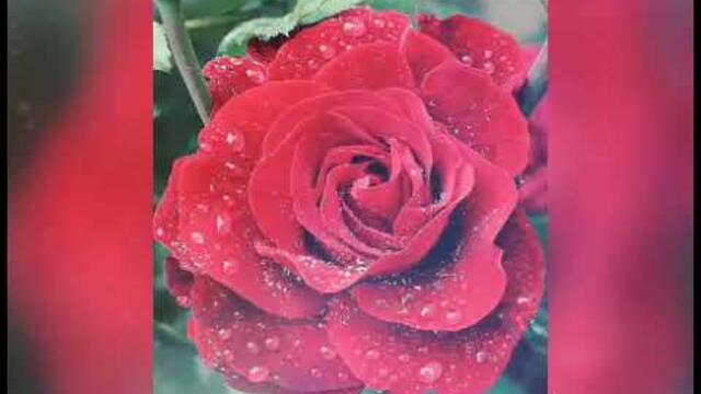 С добрым утром!