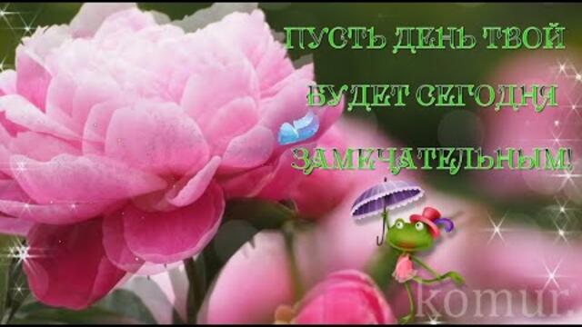 ПУСТЬ ДЕНЬ ТВОЙ БУДЕТ СЕГОДНЯ ЗАМЕЧАТЕЛЬНЫМ! Красивая музыкальная открытка