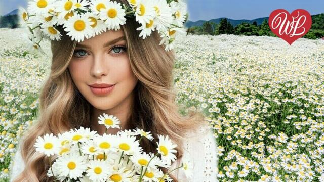 РОМАШКА ♥ ПЕСНИ НАШЕГО ДВОРА ♥ ЭТИ ПЕСНИ ИЩУТ ВСЕ ♥ ХИТЫ В ДОРОГУ♥