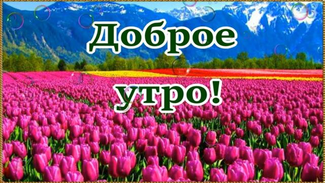 ДОБРОЕ УТРО! ПРЕКРАСНОГО УТРЕННЕГО НАСТРОЕНИЯ! 😘🌹