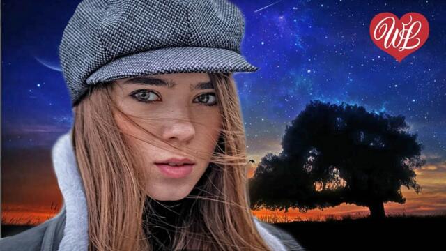 ГОРОДСКИЕ ВСТРЕЧИ ♥ ЗАВОДНОЙ ШАНСОН ♥  МУЗЫКА В ДОРОГУ ♥ НЕ УСНИ ЗА РУЛЕМ ♥