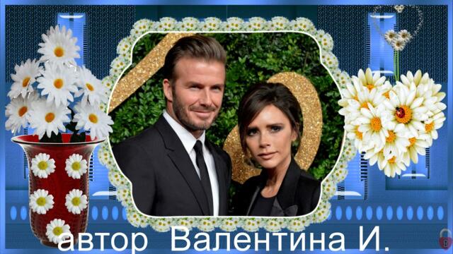 Белые ромашки