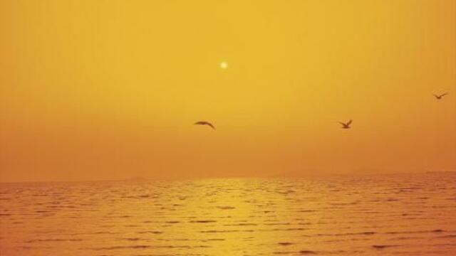 Златен Залез в Слънчев Бряг 🎯 🌸 ღ Sunny Beach Golden Sunset 🍓♛╰⊱♡⊱╮