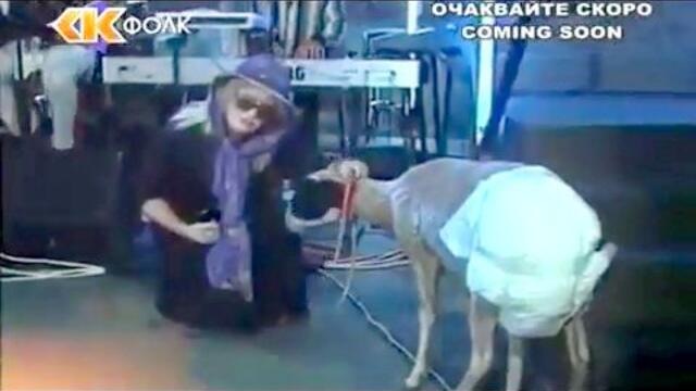 Тъпа овца (2000)